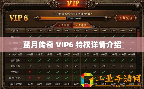 藍月傳奇 VIP6 特權詳情介紹