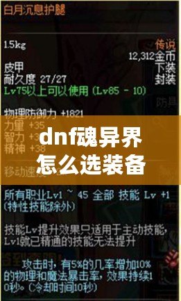 dnf魂異界怎么選裝備 dnf魂異界裝備推薦