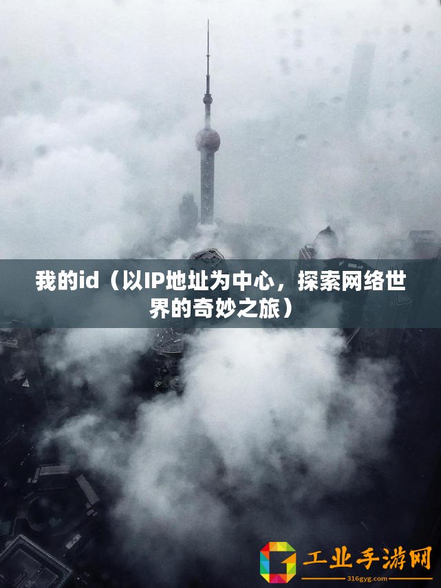 我的id（以IP地址為中心，探索網(wǎng)絡世界的奇妙之旅）