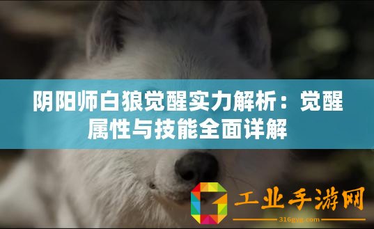 陰陽師白狼覺醒實力解析：覺醒屬性與技能全面詳解