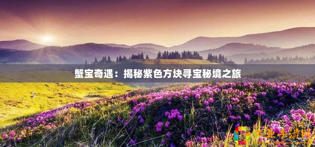 蟹寶奇遇：揭秘紫色方塊尋寶秘境之旅