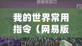 我的世界常用指令（網(wǎng)易版我的世界常用指令大全：完整指南及使用技巧）