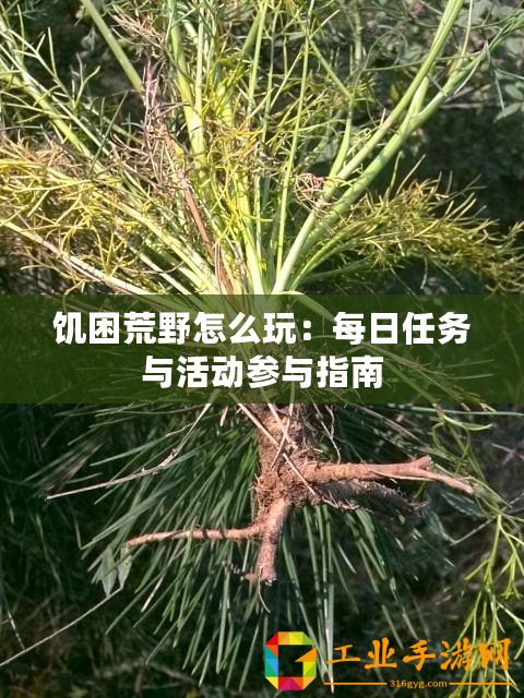 饑困荒野怎么玩：每日任務與活動參與指南