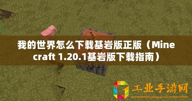 我的世界怎么下載基巖版正版（Minecraft 1.20.1基巖版下載指南）