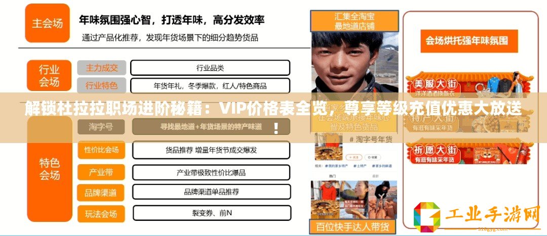 解鎖杜拉拉職場進階秘籍：VIP價格表全覽，尊享等級充值優惠大放送！