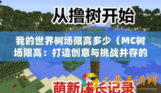 我的世界樹場限高多少（MC樹場限高：打造創意與挑戰并存的極致游樂體驗！）