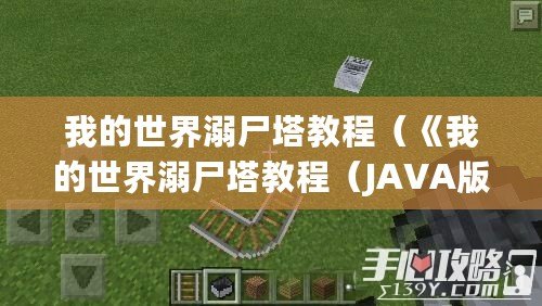 我的世界溺尸塔教程（《我的世界溺尸塔教程（JAVA版）：打造最強防御之巔！》）