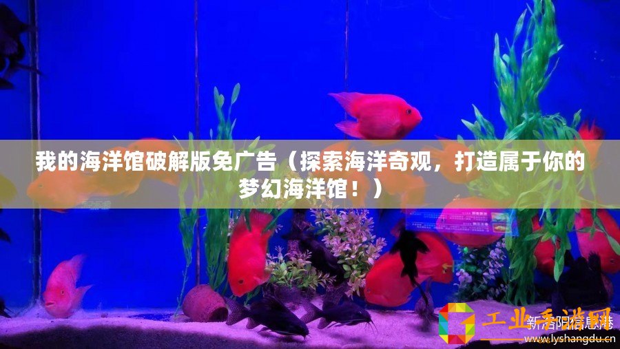 我的海洋館破解版免廣告（探索海洋奇觀，打造屬于你的夢幻海洋館！）