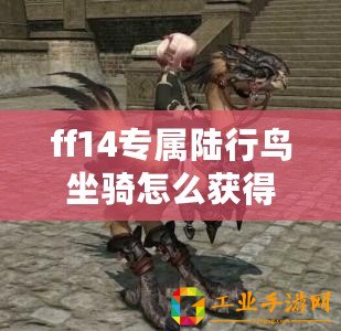 ff14專屬陸行鳥坐騎怎么獲得 ff14專屬陸行鳥獲得方法