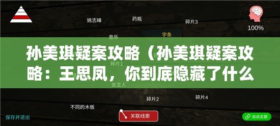 孫美琪疑案攻略（孫美琪疑案攻略：王思鳳，你到底隱藏了什么秘密？）