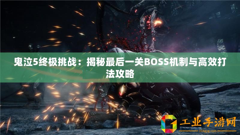 鬼泣5終極挑戰(zhàn)：揭秘最后一關(guān)BOSS機制與高效打法攻略