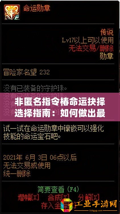 非匿名指令椿命運(yùn)抉擇選擇指南：如何做出最佳選擇？