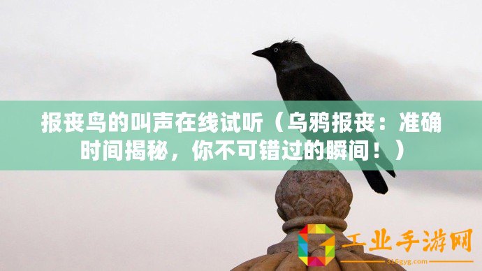 報喪鳥的叫聲在線試聽（烏鴉報喪：準(zhǔn)確時間揭秘，你不可錯過的瞬間！）