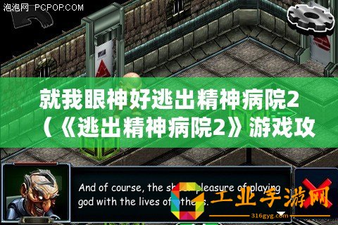 就我眼神好逃出精神病院2（《逃出精神病院2》游戲攻略：眼神銳利，成功逃脫！）