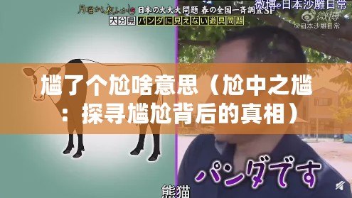 尷了個尬啥意思（尬中之尷：探尋尷尬背后的真相）