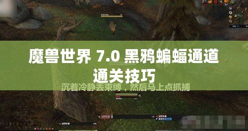 魔獸世界 7.0 黑鴉蝙蝠通道通關(guān)技巧