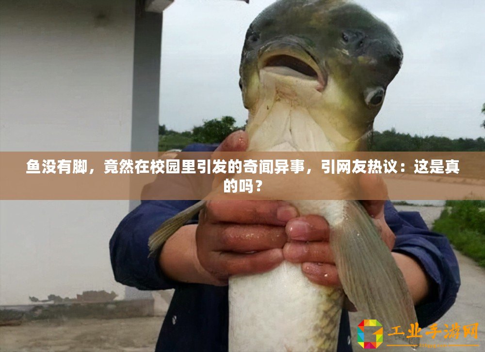 魚沒有腳，竟然在校園里引發的奇聞異事，引網友熱議：這是真的嗎？