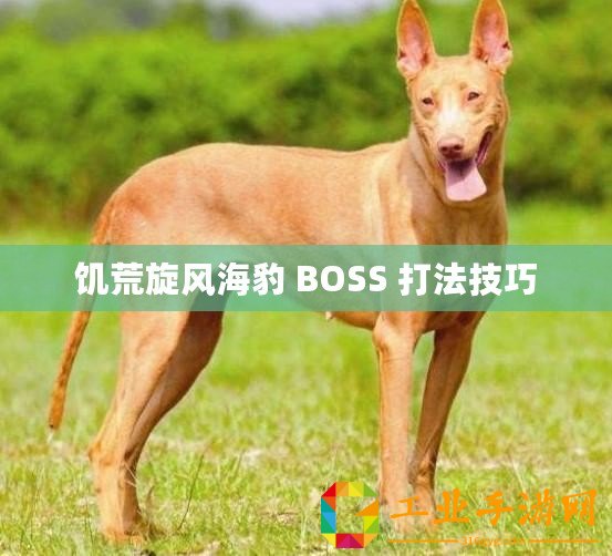 饑荒旋風海豹 BOSS 打法技巧