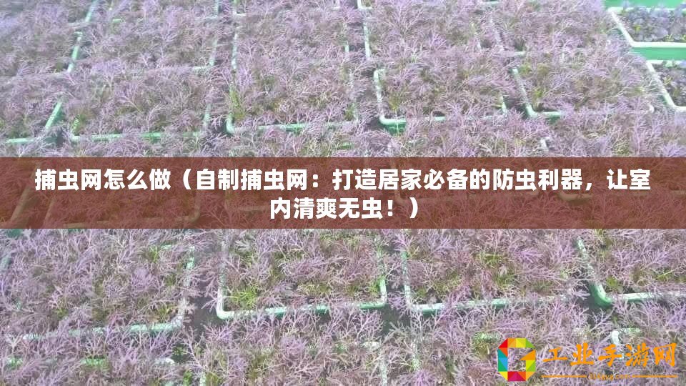 捕蟲網怎么做（自制捕蟲網：打造居家必備的防蟲利器，讓室內清爽無蟲！）