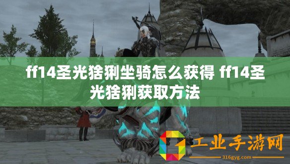 ff14圣光猞猁坐騎怎么獲得 ff14圣光猞猁獲取方法