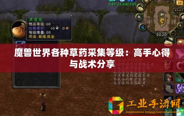 魔獸世界各種草藥采集等級：高手心得與戰術分享