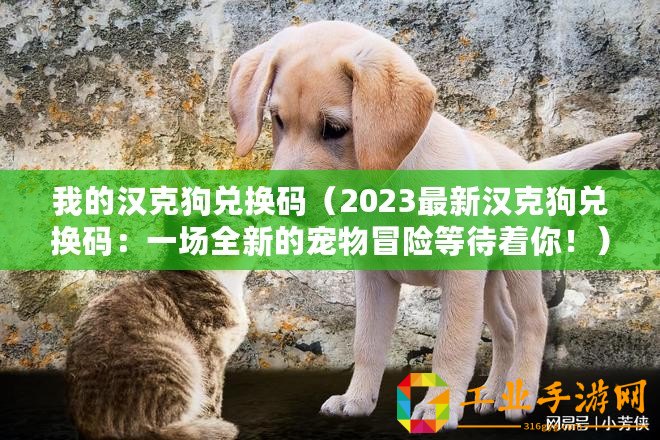 我的漢克狗兌換碼（2023最新漢克狗兌換碼：一場全新的寵物冒險等待著你！）