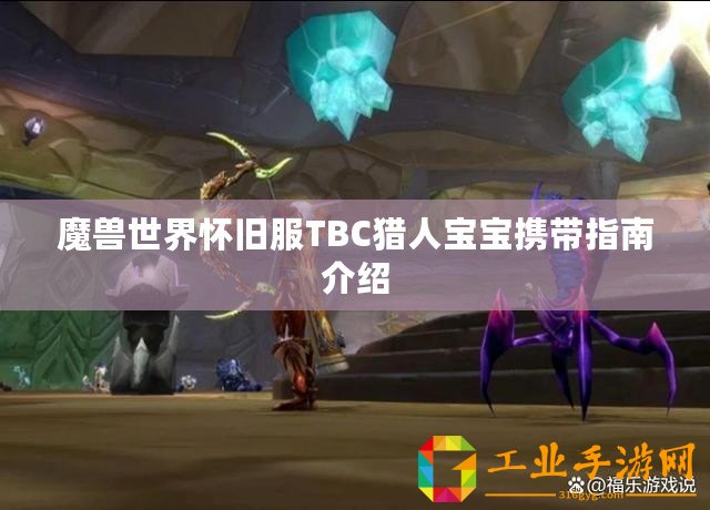 魔獸世界懷舊服TBC獵人寶寶攜帶指南介紹