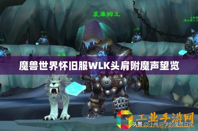 魔獸世界懷舊服WLK頭肩附魔聲望覽