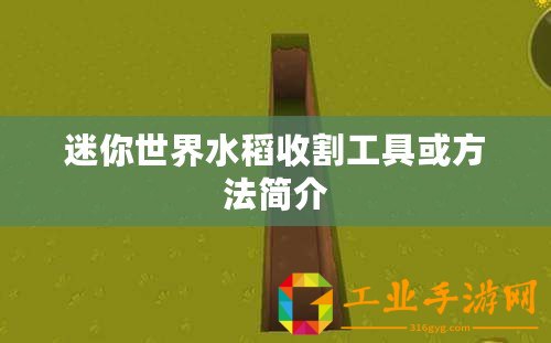 迷你世界水稻收割工具或方法簡介