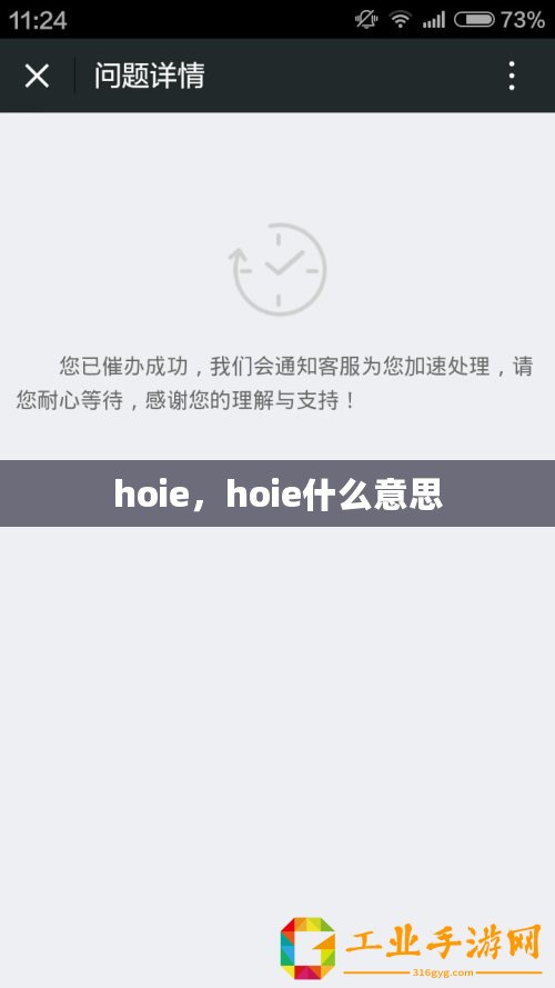 hoie，hoie什么意思