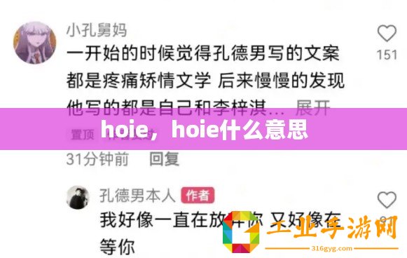 hoie，hoie什么意思