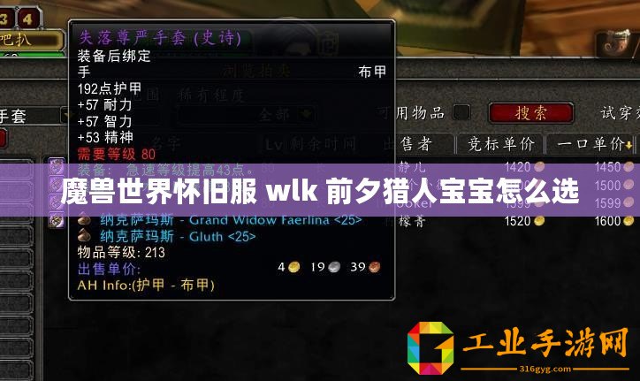 魔獸世界懷舊服 wlk 前夕獵人寶寶怎么選