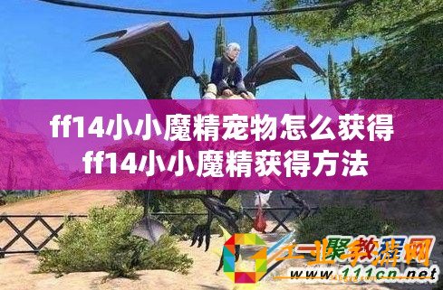 ff14小小魔精寵物怎么獲得 ff14小小魔精獲得方法