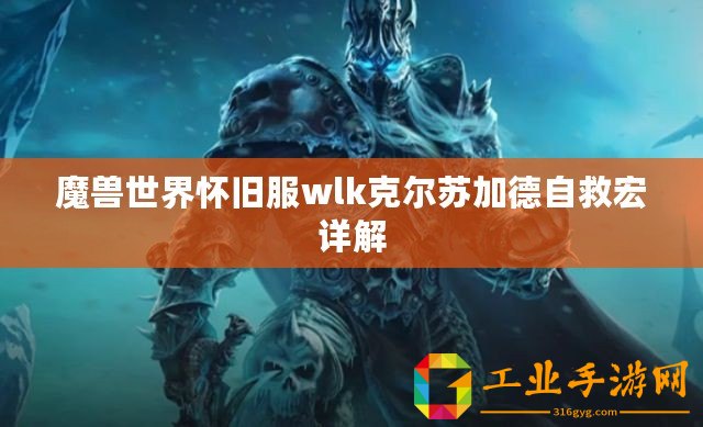 魔獸世界懷舊服wlk克爾蘇加德自救宏詳解