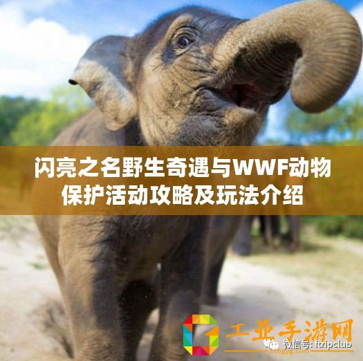 閃亮之名野生奇遇與WWF動物保護活動攻略及玩法介紹