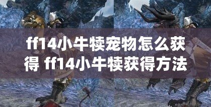 ff14小牛犢寵物怎么獲得 ff14小牛犢獲得方法