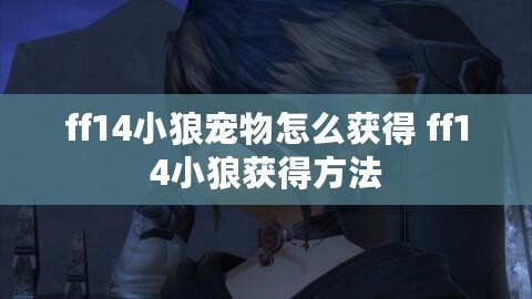 ff14小狼寵物怎么獲得 ff14小狼獲得方法