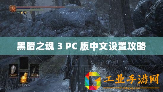 黑暗之魂 3 PC 版中文設(shè)置攻略