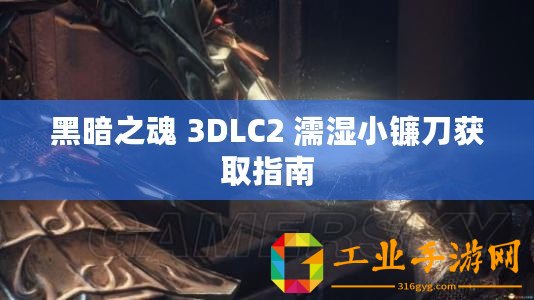 黑暗之魂 3DLC2 濡濕小鐮刀獲取指南