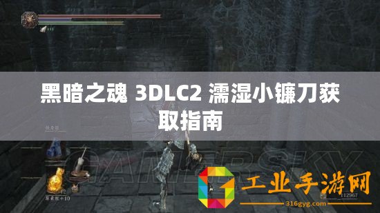 黑暗之魂 3DLC2 濡濕小鐮刀獲取指南