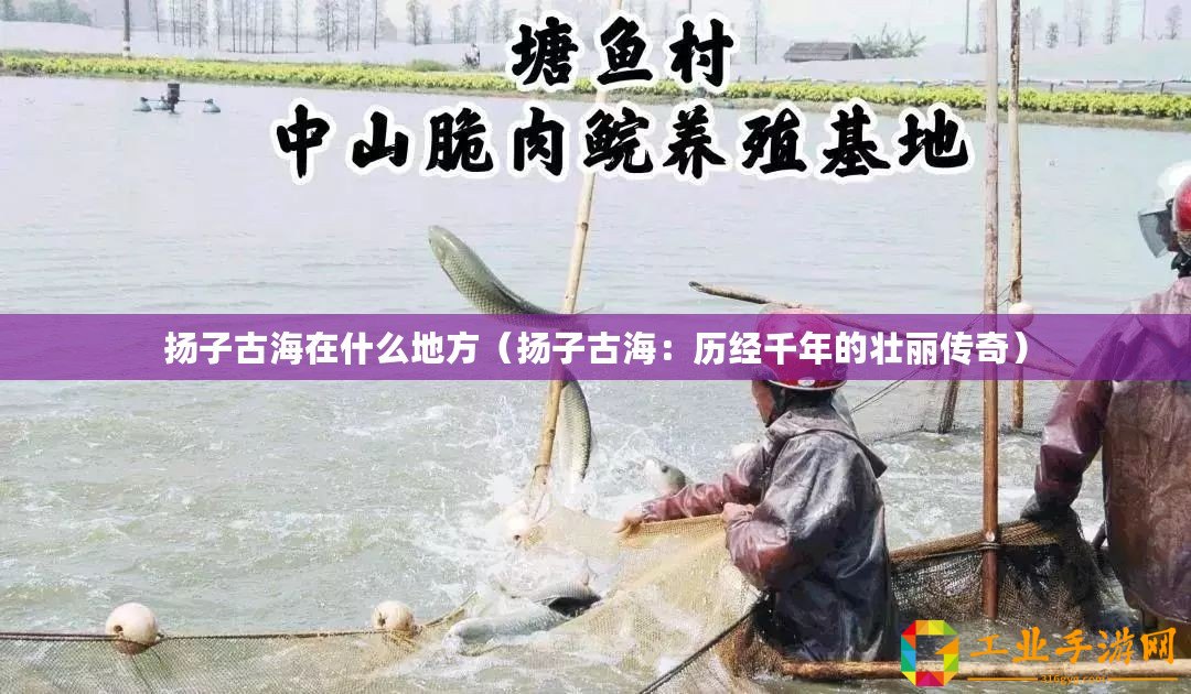 揚子古海在什么地方（揚子古海：歷經千年的壯麗傳奇）