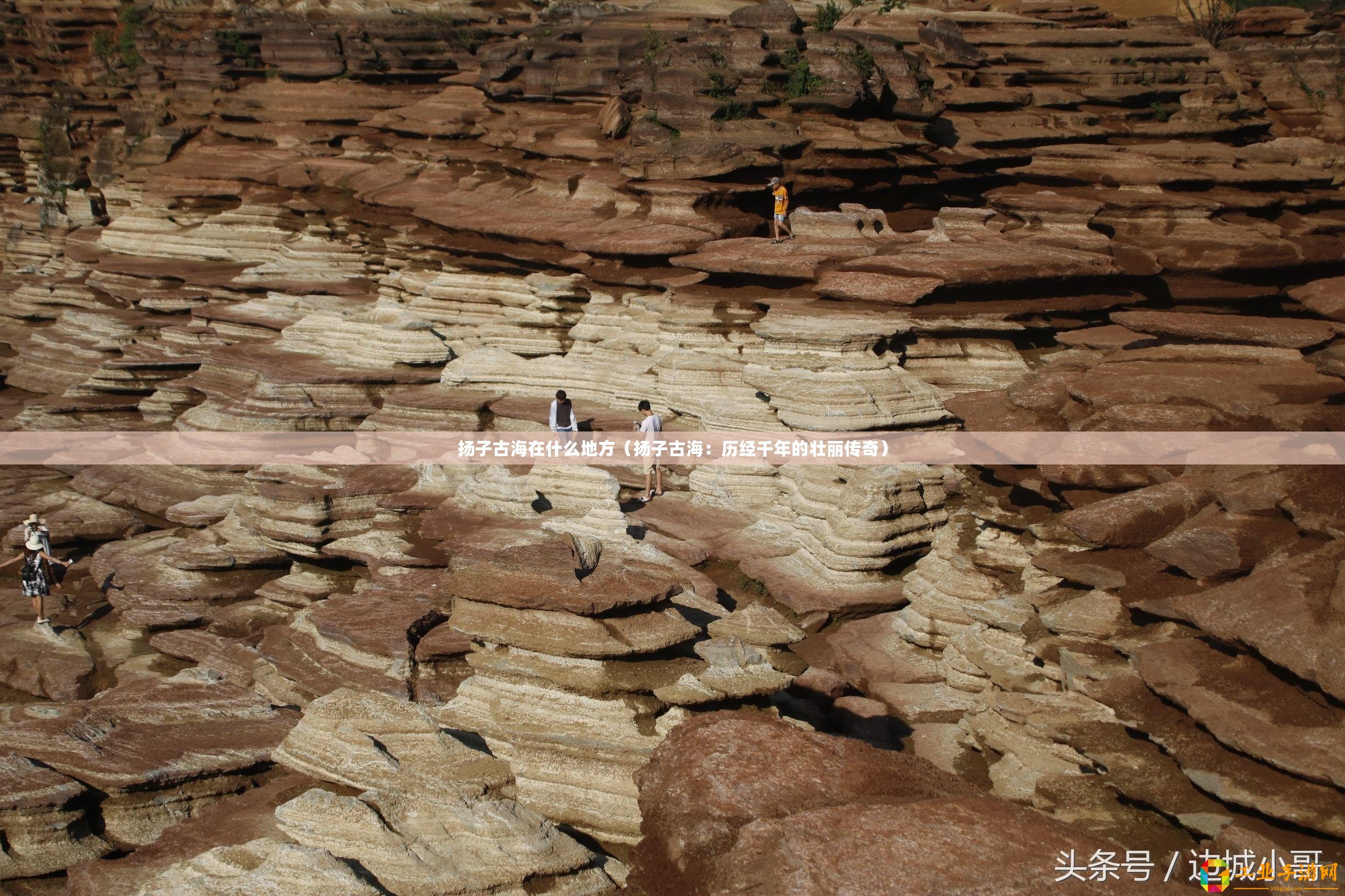 揚子古海在什么地方（揚子古海：歷經千年的壯麗傳奇）