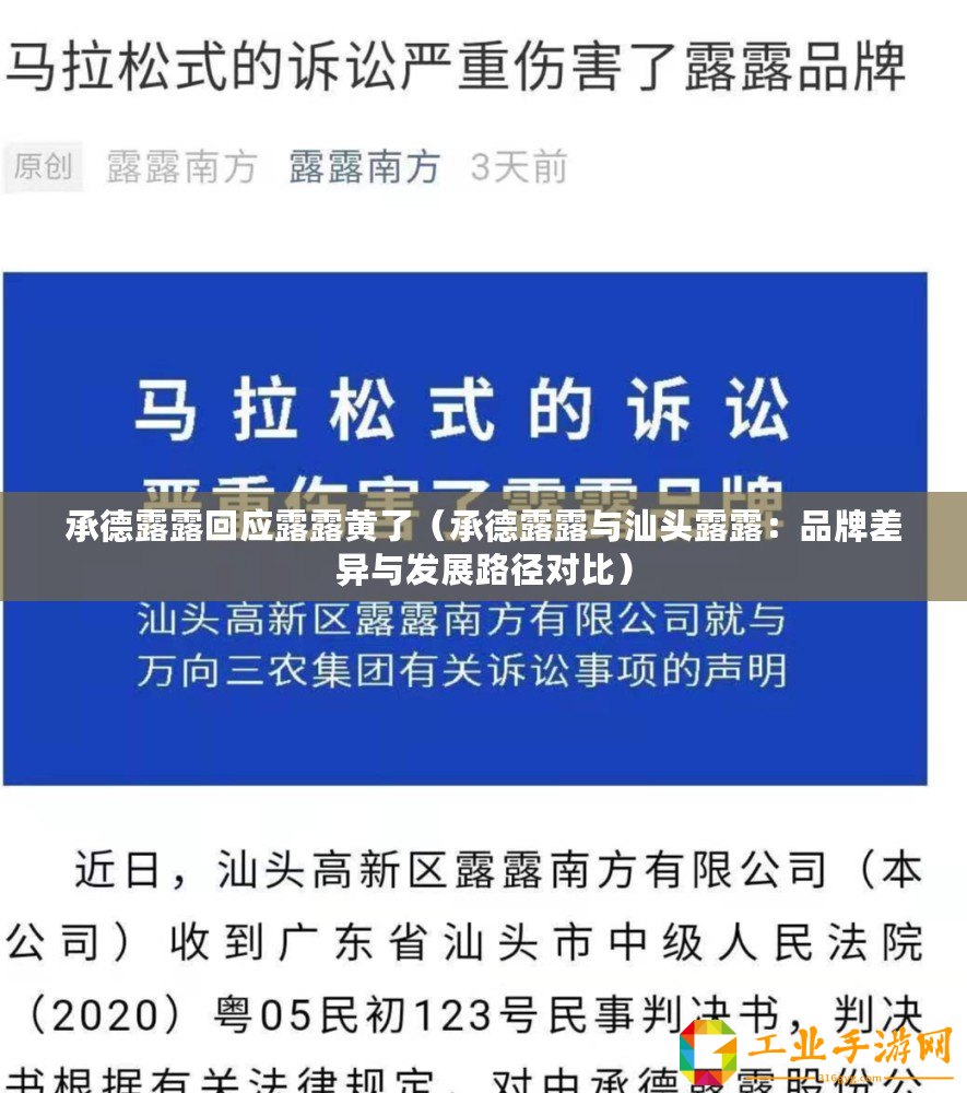 承德露露回應露露黃了（承德露露與汕頭露露：品牌差異與發展路徑對比）