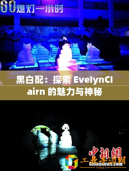 黑白配：探索 EveIynCIairn 的魅力與神秘