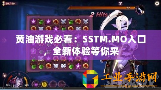 黃油游戲必看：SSTM.MO入口，全新體驗等你來