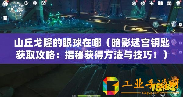 山丘戈隆的眼球在哪（暗影迷宮鑰匙獲取攻略：揭秘獲得方法與技巧！）