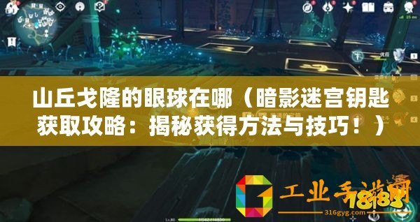 山丘戈隆的眼球在哪（暗影迷宮鑰匙獲取攻略：揭秘獲得方法與技巧?。? title=