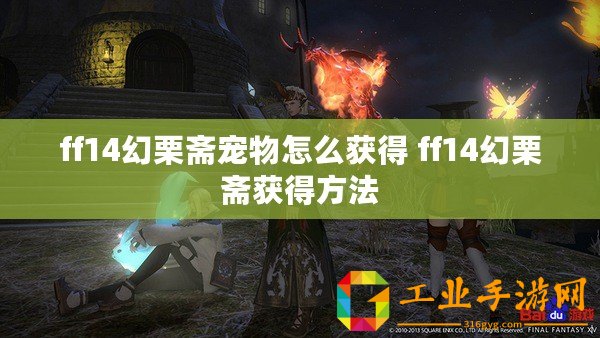 ff14幻栗齋寵物怎么獲得 ff14幻栗齋獲得方法