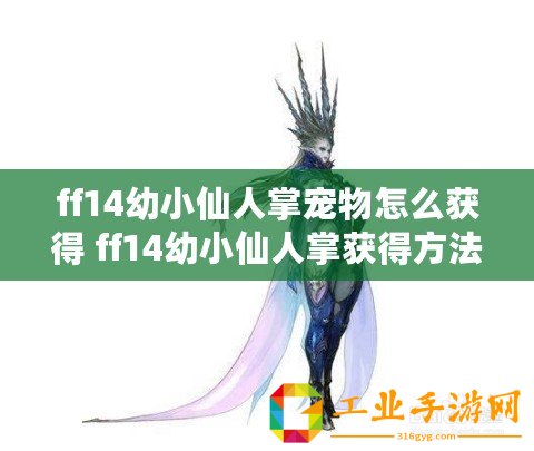 ff14幼小仙人掌寵物怎么獲得 ff14幼小仙人掌獲得方法