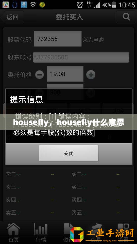 housefly，housefly什么意思